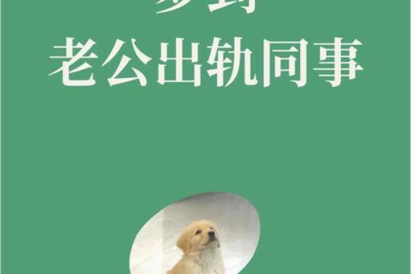 梦见丈夫出轨了我很生气是什么意思
