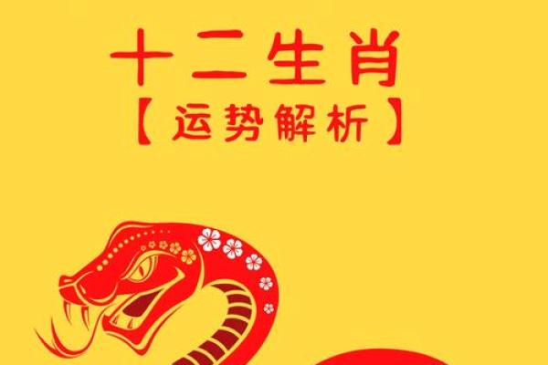 84年属鼠的人2025年的运势及运程(84年属鼠的人2025年的运势及运程男)