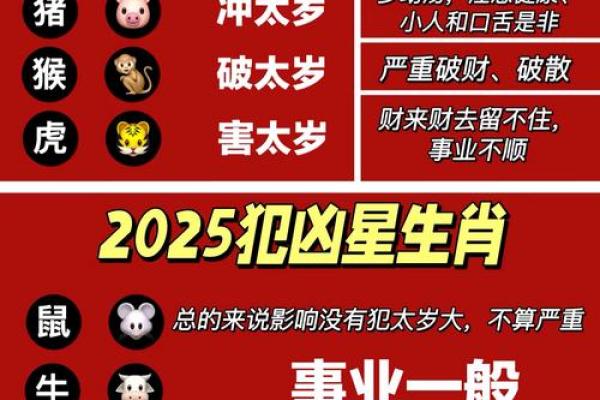 84年属鼠的人2025年的运势及运程(84年属鼠的人2025年的运势及运程男)