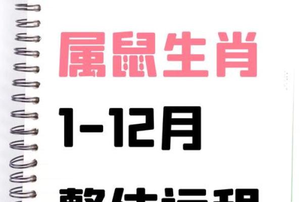 2025年属鼠人的全年运势1984出生(2025年属鼠人的全年运势1984出生男)