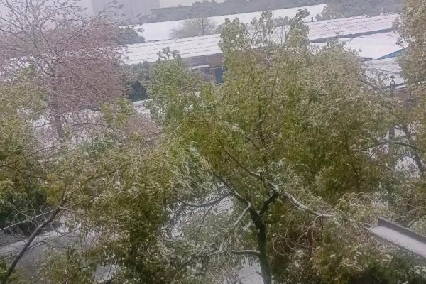 梦到春天下雪