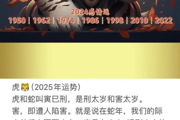 属虎人2025年的全年运势(2025年属虎人的全年运势1974出生)