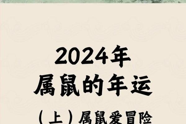 72年属鼠2025年运势及运程每月运程(72年属鼠2024年的运程)