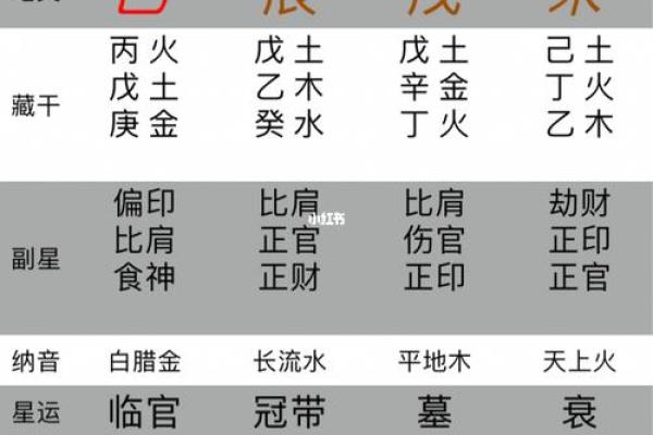 免费八字排盘最精准版(八字命盘免费排盘)