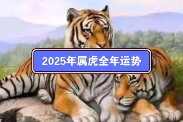 74年属虎男在2025年的全年运势(74年属虎2025年每月运势)