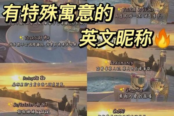 带英字取个优雅网名女(带英字的网名女生网名大全)
