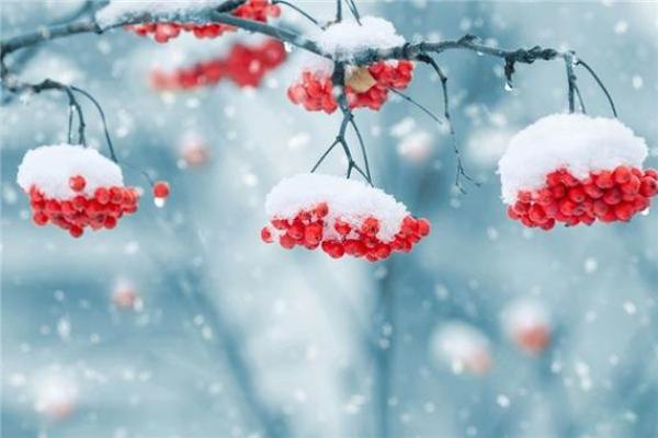 男人梦见下雪好不好