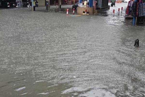 梦到下雨发洪水是什么征兆