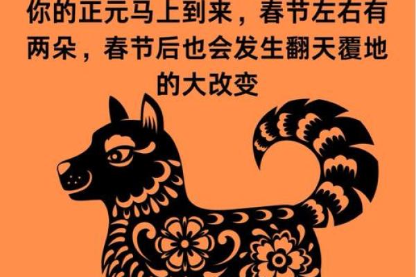 1972年属鼠人2025年运势运程每月运程(1972年属鼠人2025年运势运程每月运程)