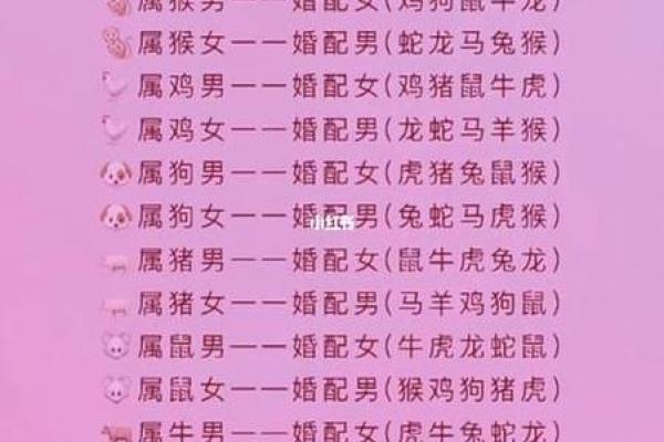 94年狗和96年鼠相配婚姻如何(94年属狗和96年属鼠的合不合)