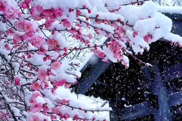 梦到下雪是什么意思