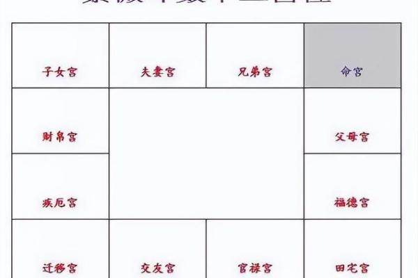 免费紫微斗数排盘(免费紫微斗数排盘含义详解)