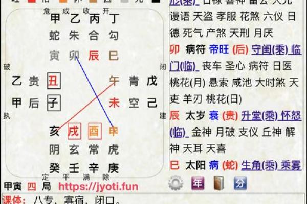 大六壬排盘软件(大六壬排盘软件哪个好用)
