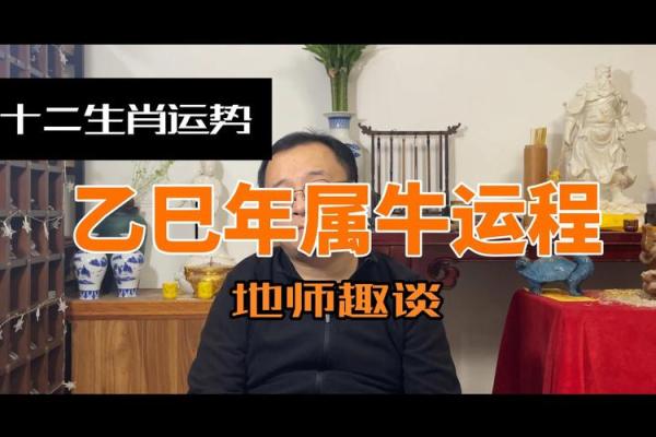 1985年属牛女2025年运势(1985年属牛女2025年运势每月运势算命网)