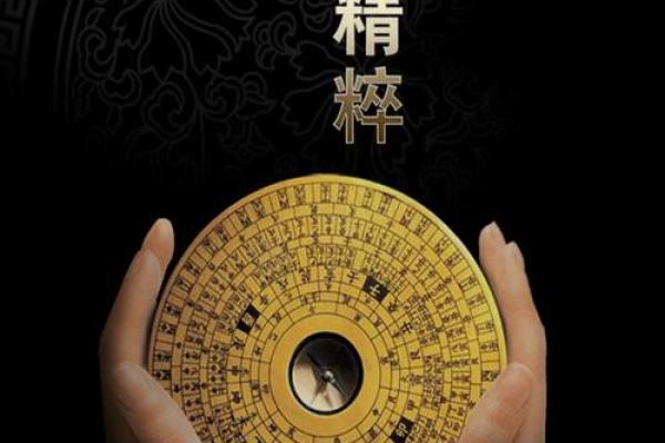 八字排盘宝(八字排盘宝免费下载)