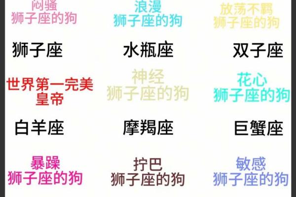 狮子座运势第一星座网(狮子座运势第一星座网2024 10第一)
