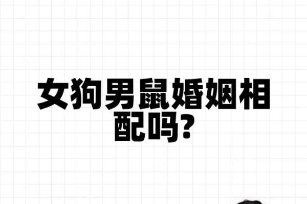 属狗的和属狗的婚姻相配吗(属狗的和属狗的婚姻合不合)