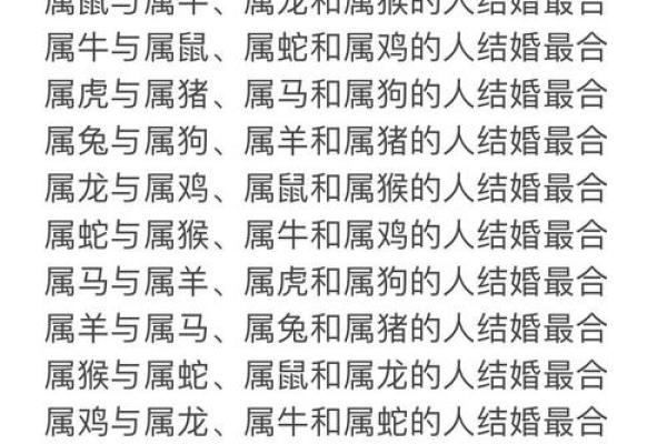属狗的和属狗的婚姻相配吗(属狗的和属狗的婚姻合不合)
