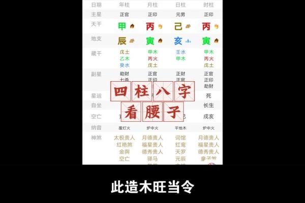 四柱八字排盘(四柱八字排盘易百查)