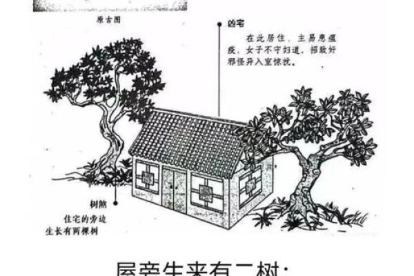 老家宅子与子女的风水(家里老宅子对后人影响)