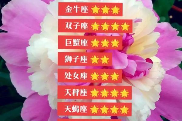 双子座运势(狮子座运势)
