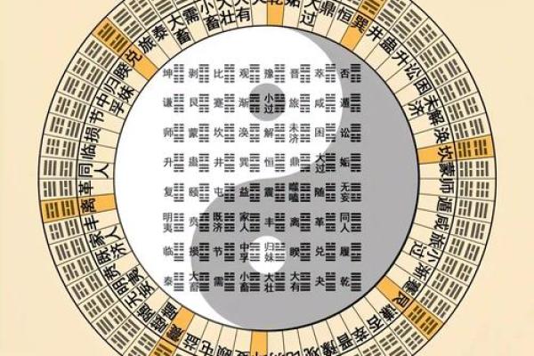 六爻龟壳占卜(六爻龟壳占卜在线)