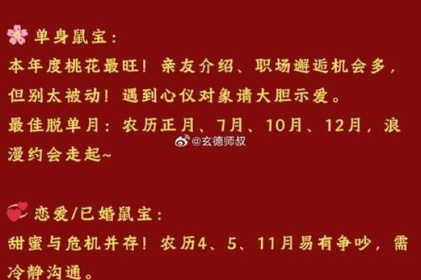 2025年鼠的全年运势如何(2025年鼠的全年运势如何样)