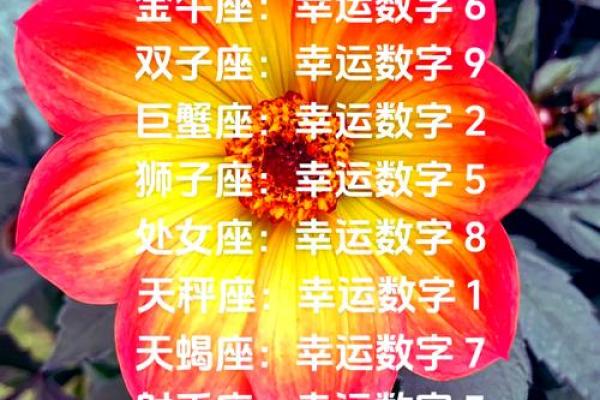 金牛座运势今日运势(金牛座运势今日运势查询第一星座网)