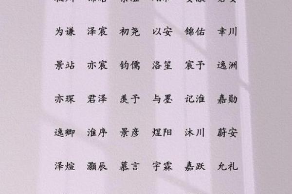 适合取名字的字(适合取名字的字男孩)