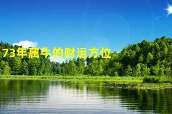 属牛今日运势偏财运(属牛今日运势偏财运非常网)