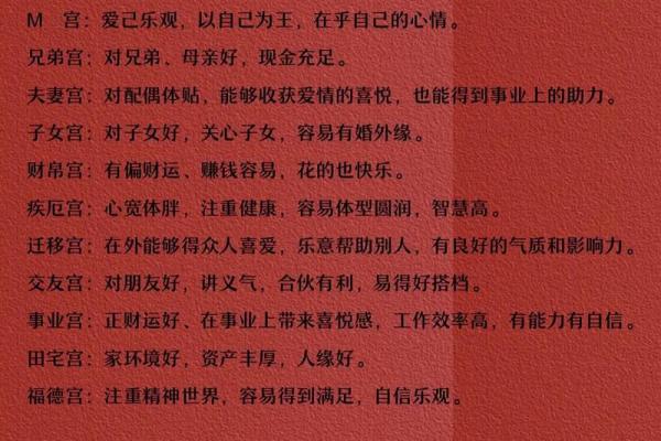 紫微斗数星尘算命(紫微斗数算命免费)
