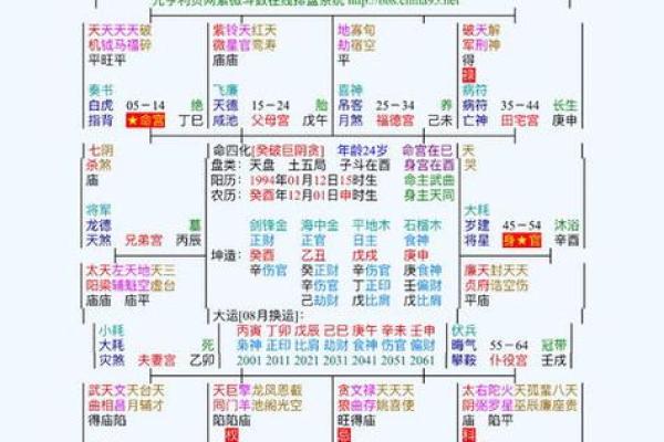 什么是紫微斗数(什么是紫微斗数天下第一盘按照南派的讲法)
