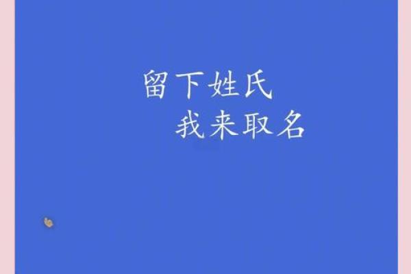 纳兰词取名女孩(纳兰词取名女孩怎么取)