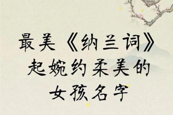 纳兰词取名女孩(纳兰词取名女孩怎么取)