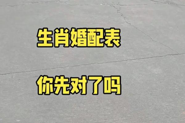 马和蛇相配婚姻如何(男蛇女马千万别在一起)