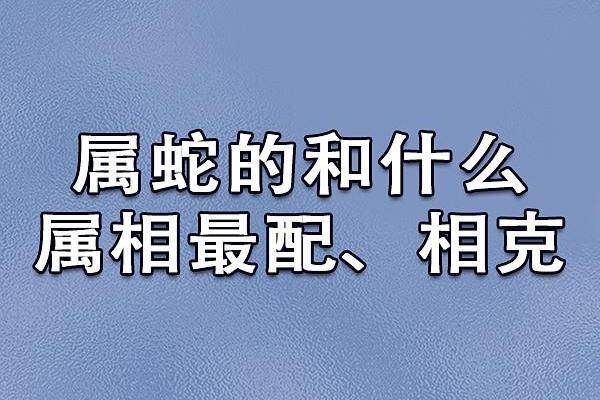 虎和蛇相配婚姻如何(虎和蛇相配婚姻如何 适合在一起吗)