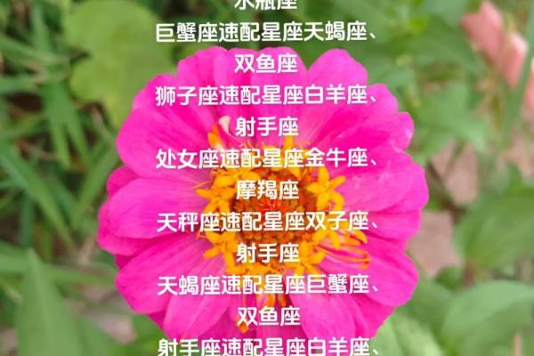 白羊和什么星座最配对(射手座和白羊座配对指数)
