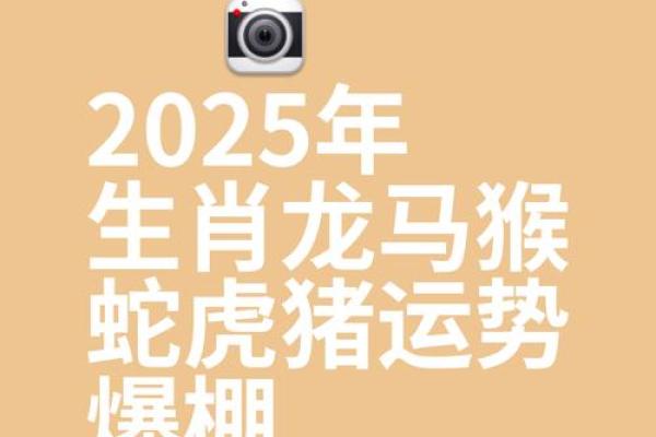 2025年属龙人的全年运势(属龙的人2025年运势及运程)