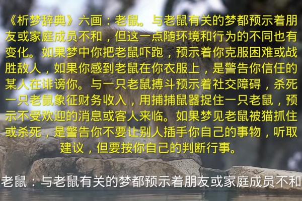 梦见老鼠在自己身上是什么意思
