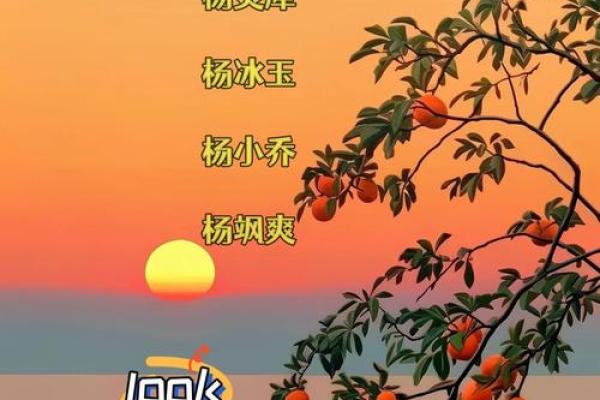 独一无二姓杨男孩名(独一无二姓杨男孩名字)