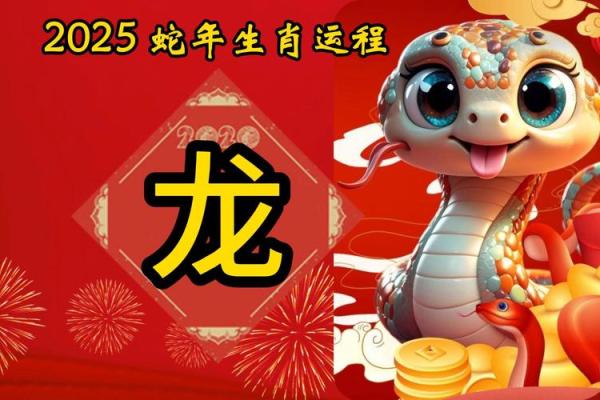 属龙2025运势及运程详解(属龙2025运势及运程详解算命网)