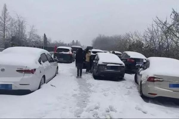 梦见下雪天在路上走