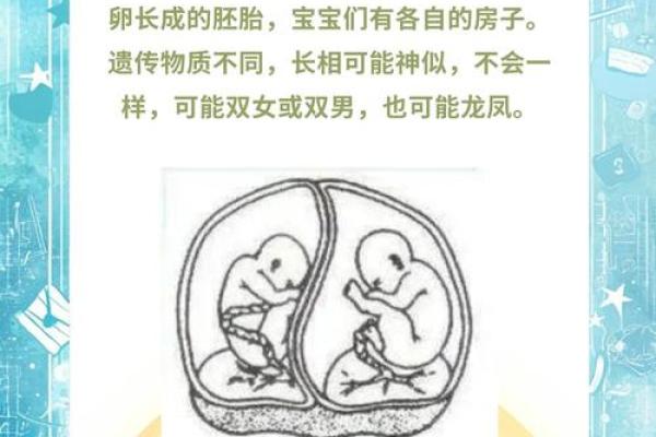梦见生双胞胎女儿是什么意思
