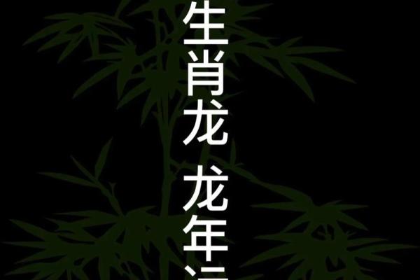 属龙人今天偏财运(属龙人今天偏财运和财运)