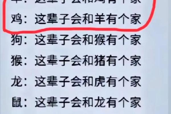 女鼠和男虎相配婚姻如何(女鼠和男虎相配婚姻如何能走到最后吗)