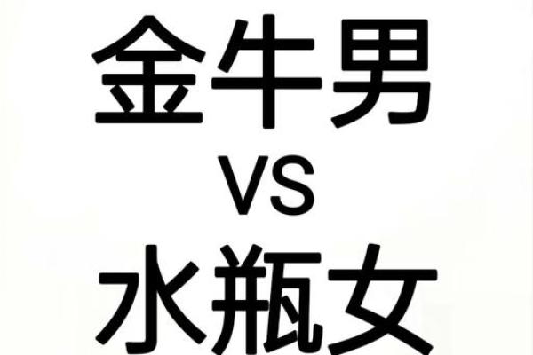 金牛男和水瓶女配对指数(金牛男和水瓶女在一起会怎样)