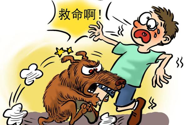 梦见儿子被狗咬了