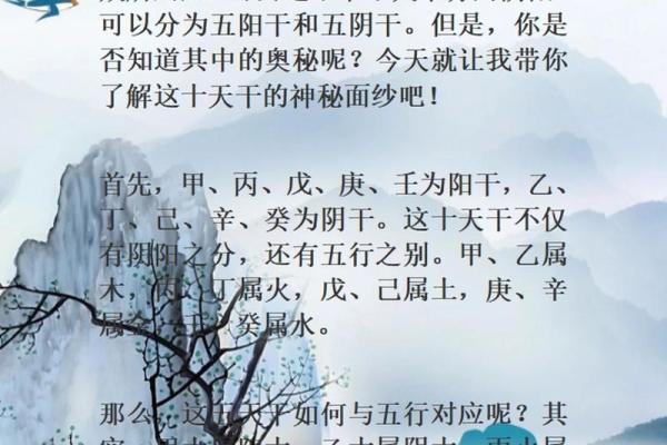 奇门遁甲是干什么的(奇门遁甲是干什么的)