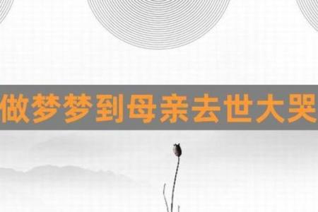 儿子梦到妈妈死了是什么征兆