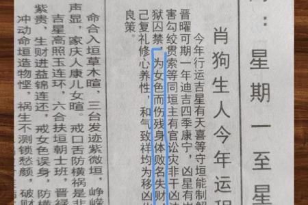 1982年属狗女2025年全年的运势(1982年属狗女2025年全年的运势详解最新)